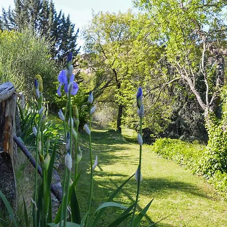 Stunning In With Kitchen Tatil Evi Paciano