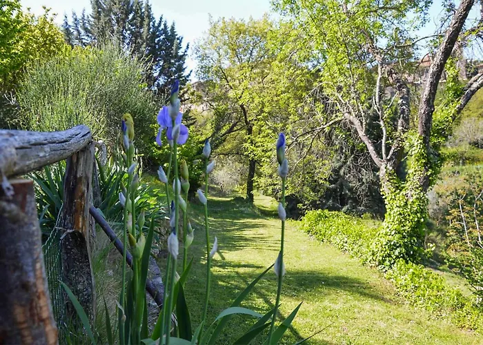 Stunning In With Kitchen Сasa de vacaciones Paciano